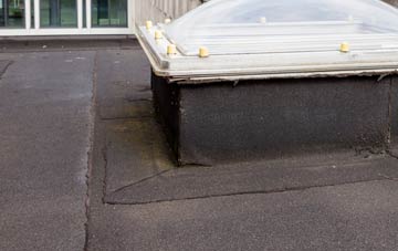 disadvantages of Royd flat roofs