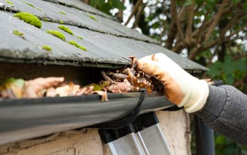 gutter cleaning Royd, South Yorkshire