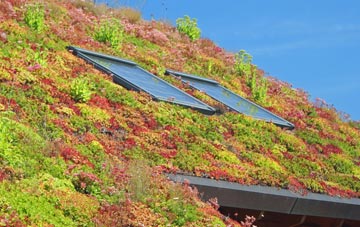 Royd living roof systems